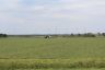 63_IMG_1425.JPG